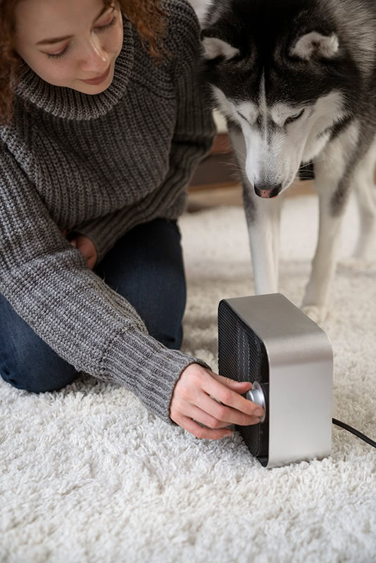 Sanofit: Die Grundlagen des Elektrosmogs – Was jeder wissen sollte